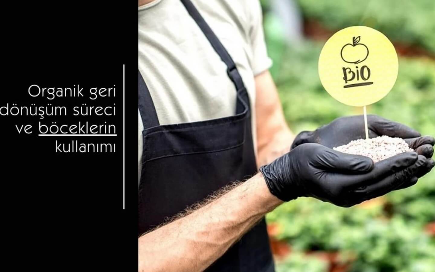 Organik gübre üretimi ve böcekler